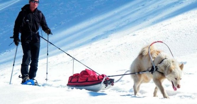  Cani Snowshoes in the Pyrenees 